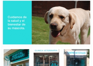 grup veterinar web